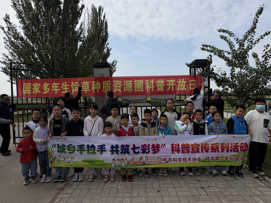图片12