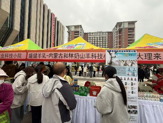 图片7